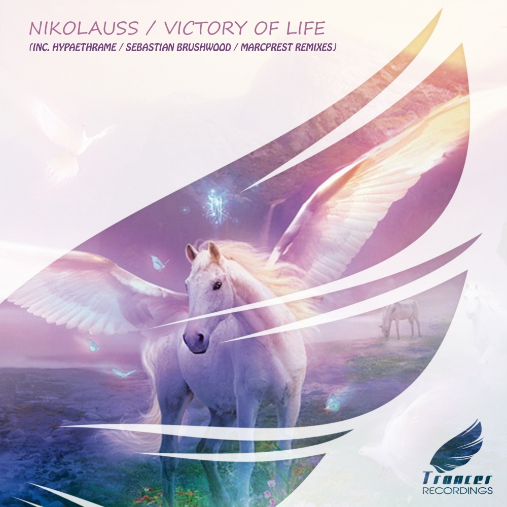 Victory of Life (Hypaethrame Remix)