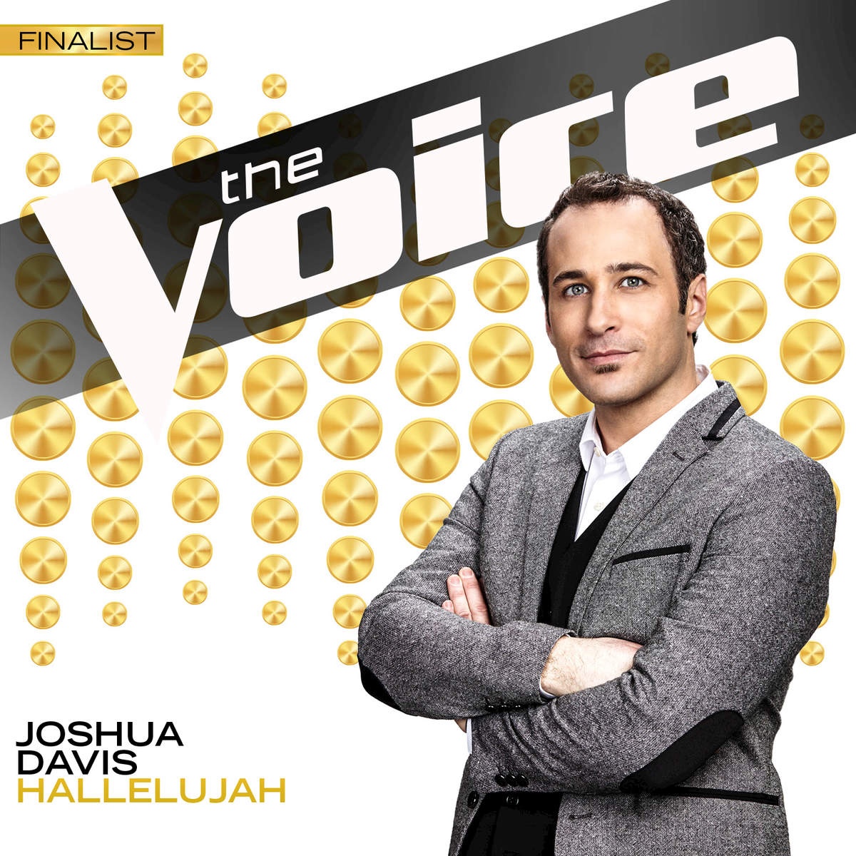 Hallelujah (The Voice Performance)