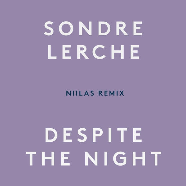 Despite the Night (feat. Niilas) [Niilas Remix]