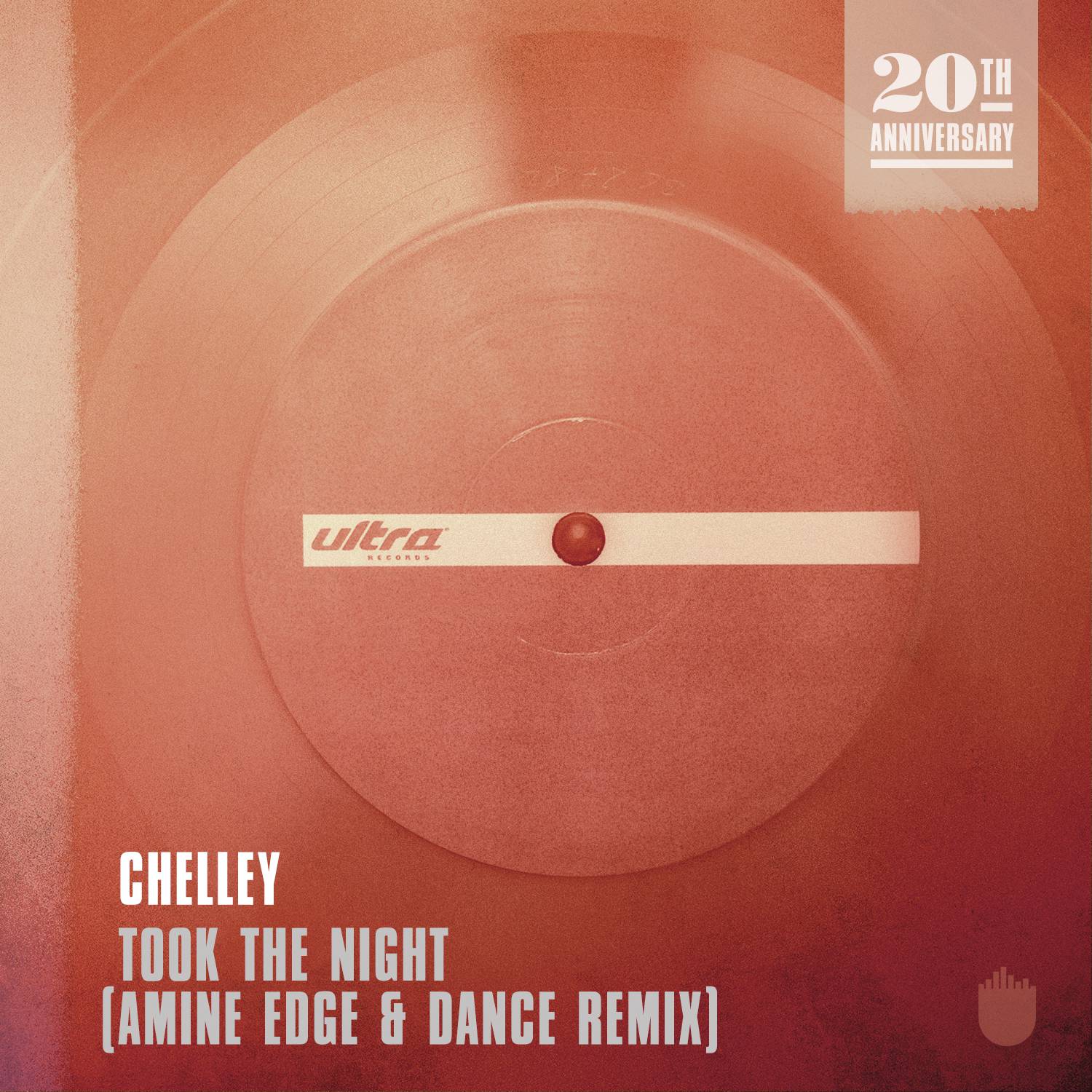 Took The Night (Amine Edge & DANCE Remix)