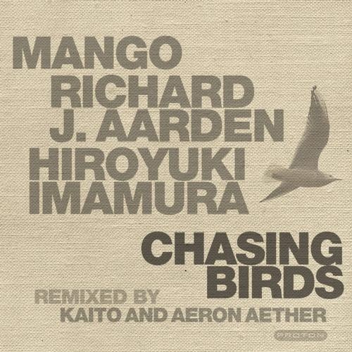 Chasing Birds (Dub Mix)