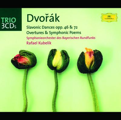 Dvorák: 8 Slavonic Dances, Op.72, B.147 - No.8 In A-Flat Major (Lento grazioso, ma non troppo, quasi tempo di valse)