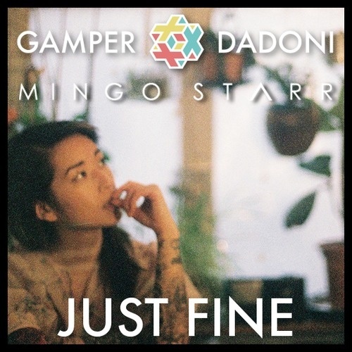 Just Fine (Gamper & Dadoni X Mingo Starr Remix)