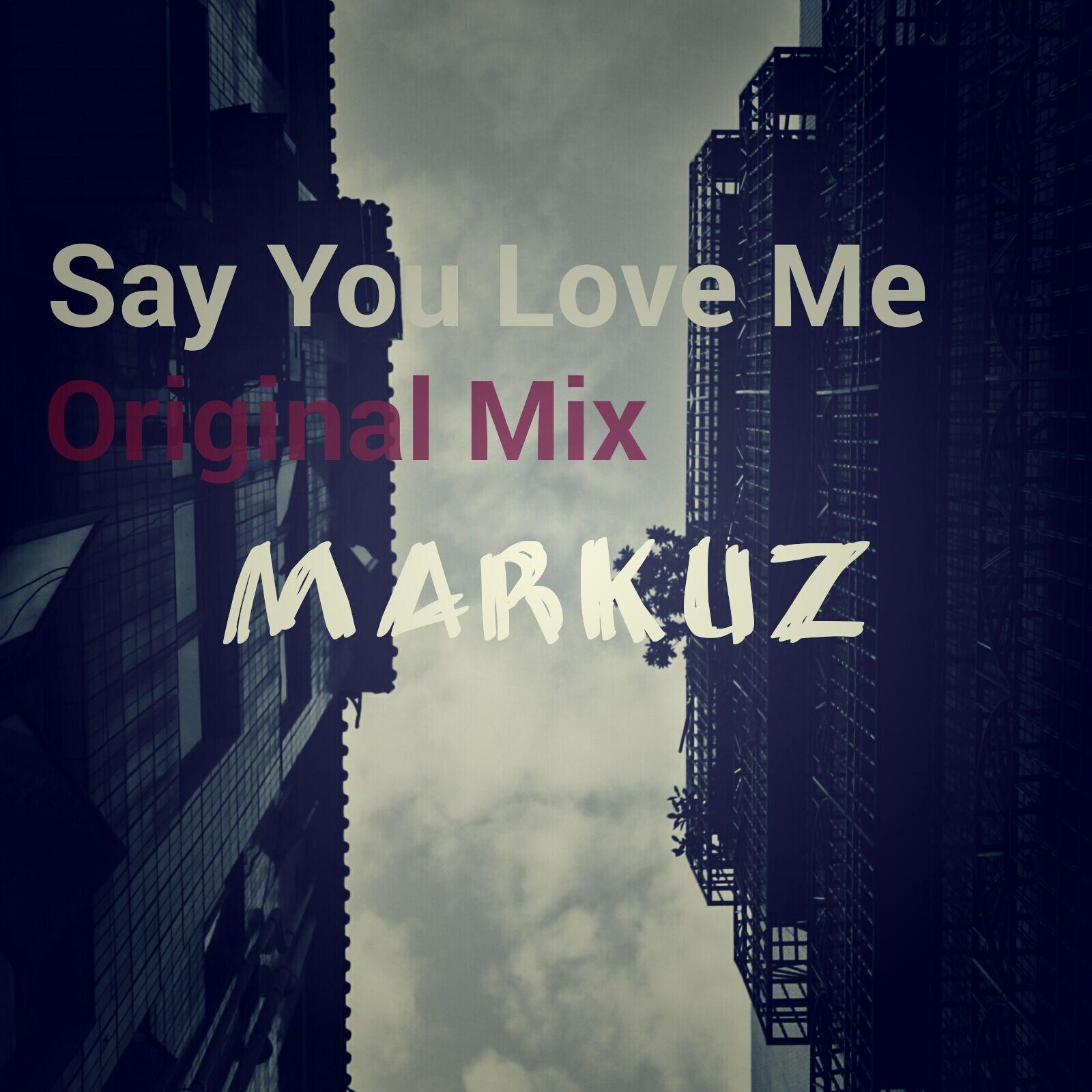 Say You Love Me  - Original Mix