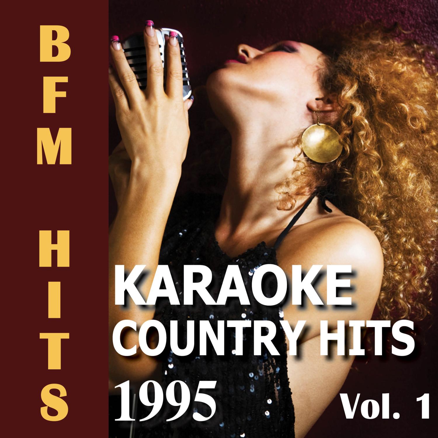 Karaoke: Country Hits 1995, Vol. 1