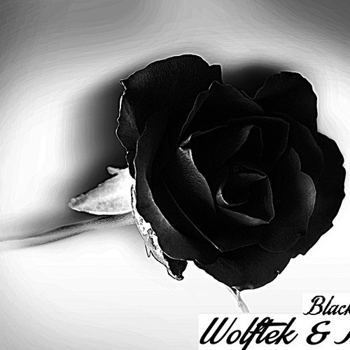 Black Rose