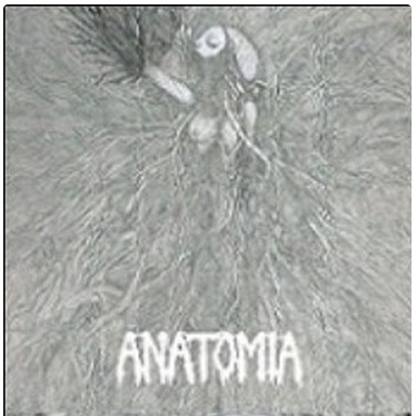 Anatomia/Sex Messiah