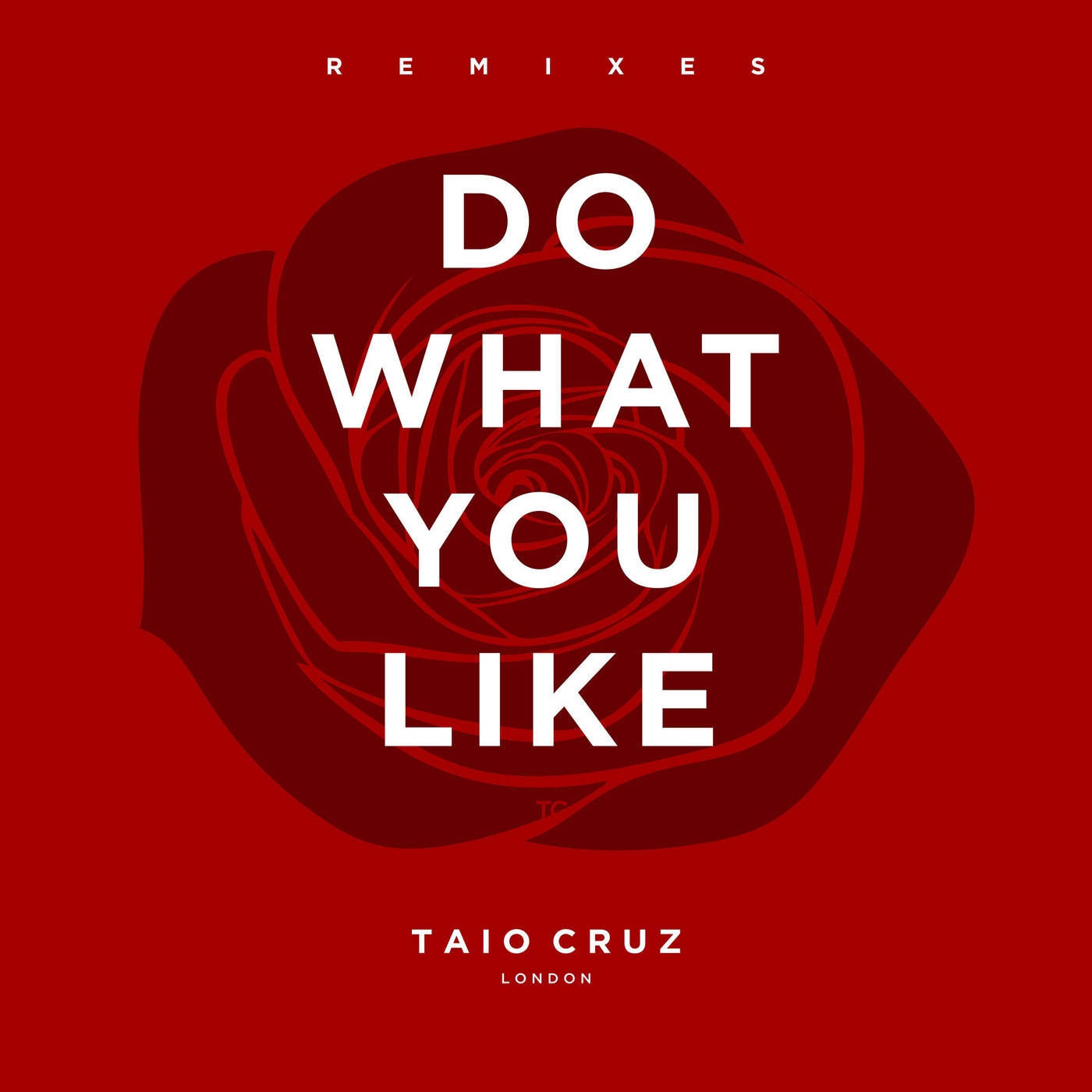 Do What You Like (Zoo Station Remix) [Radio Edit]
