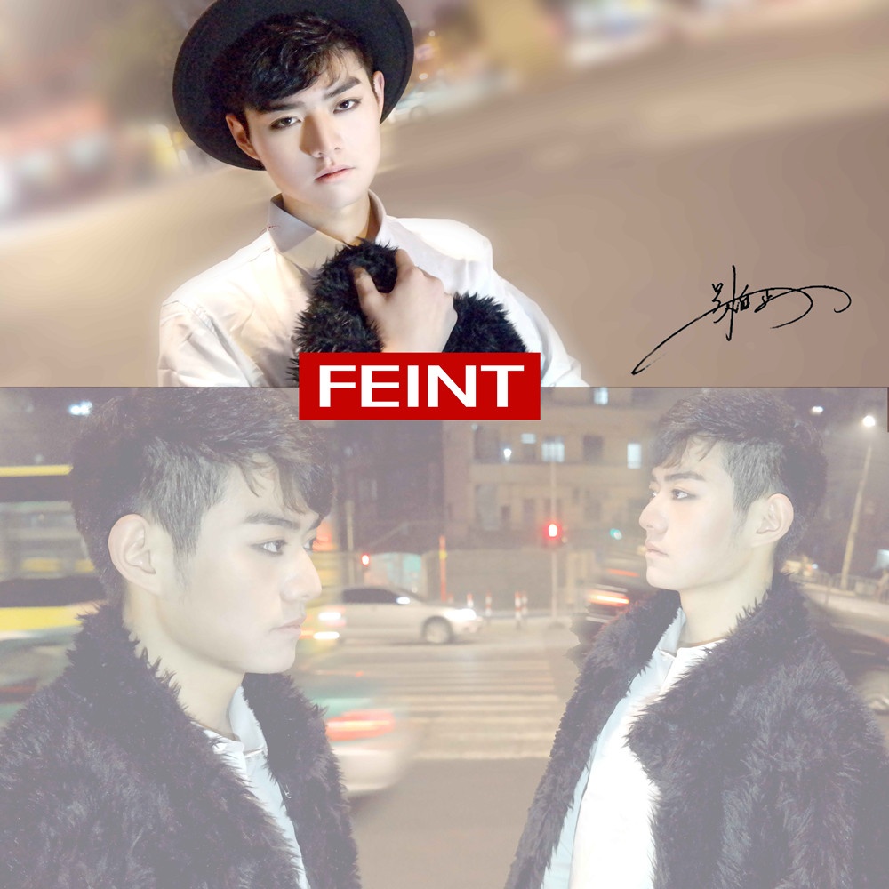 FEINT