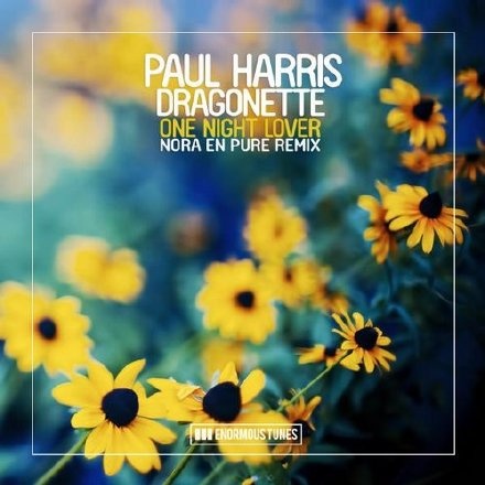 One Night Lover (Nora En Pure Remix)