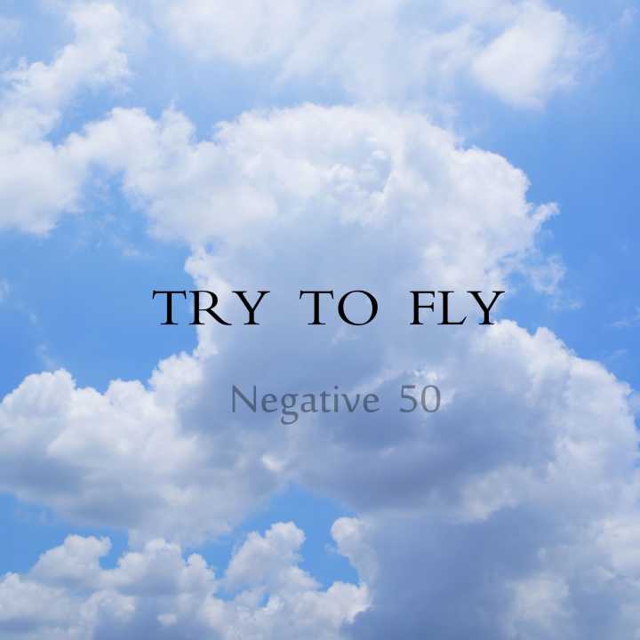 Try To Fly