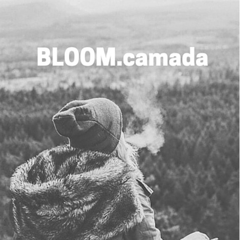 Bloom 