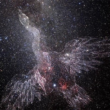 Cygnus