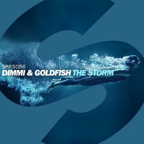 The Storm (Original Mix)