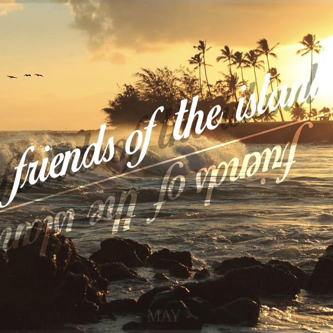 Friends of the Island (Chill House)