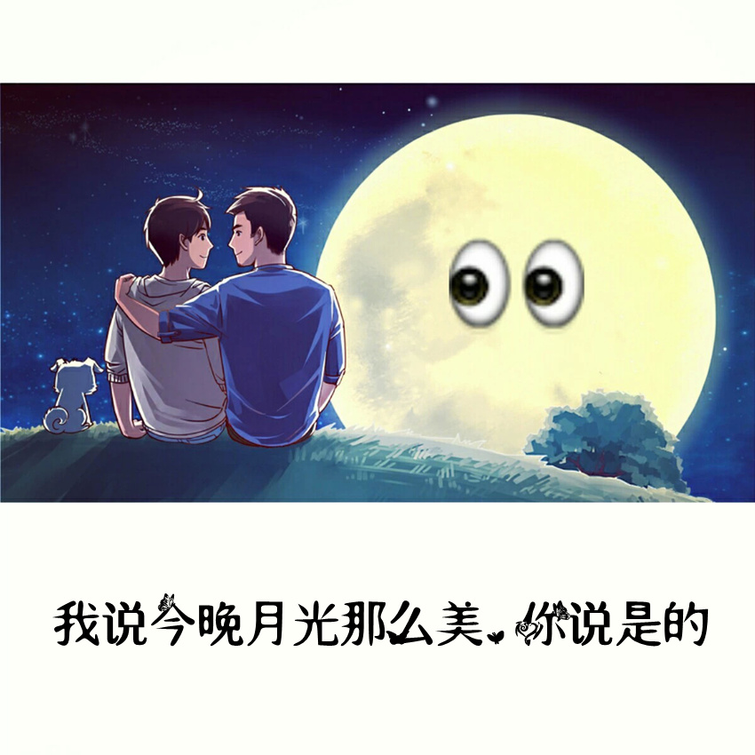 莫爱河往生-我说今晚月光那么美，你说是的（Cover 朴树）