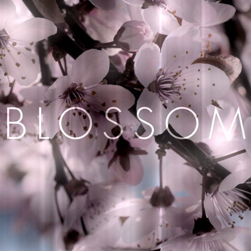 Blossom