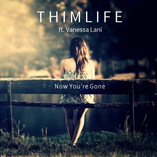 Now You're Gone (Original Mix)