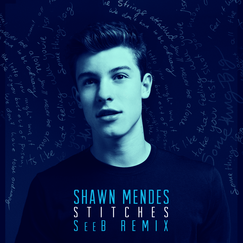 Stitches - SeeB Remix