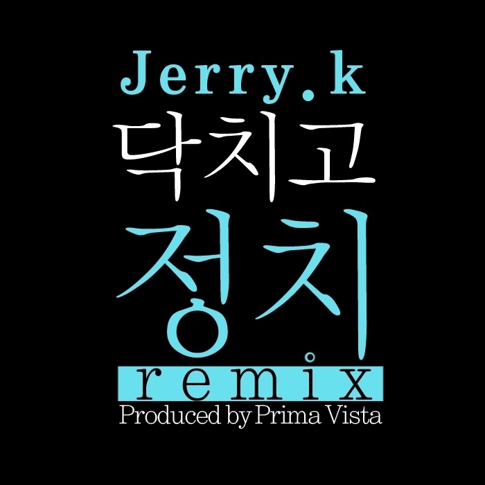 닥치고 정치 Remix (Inst.)