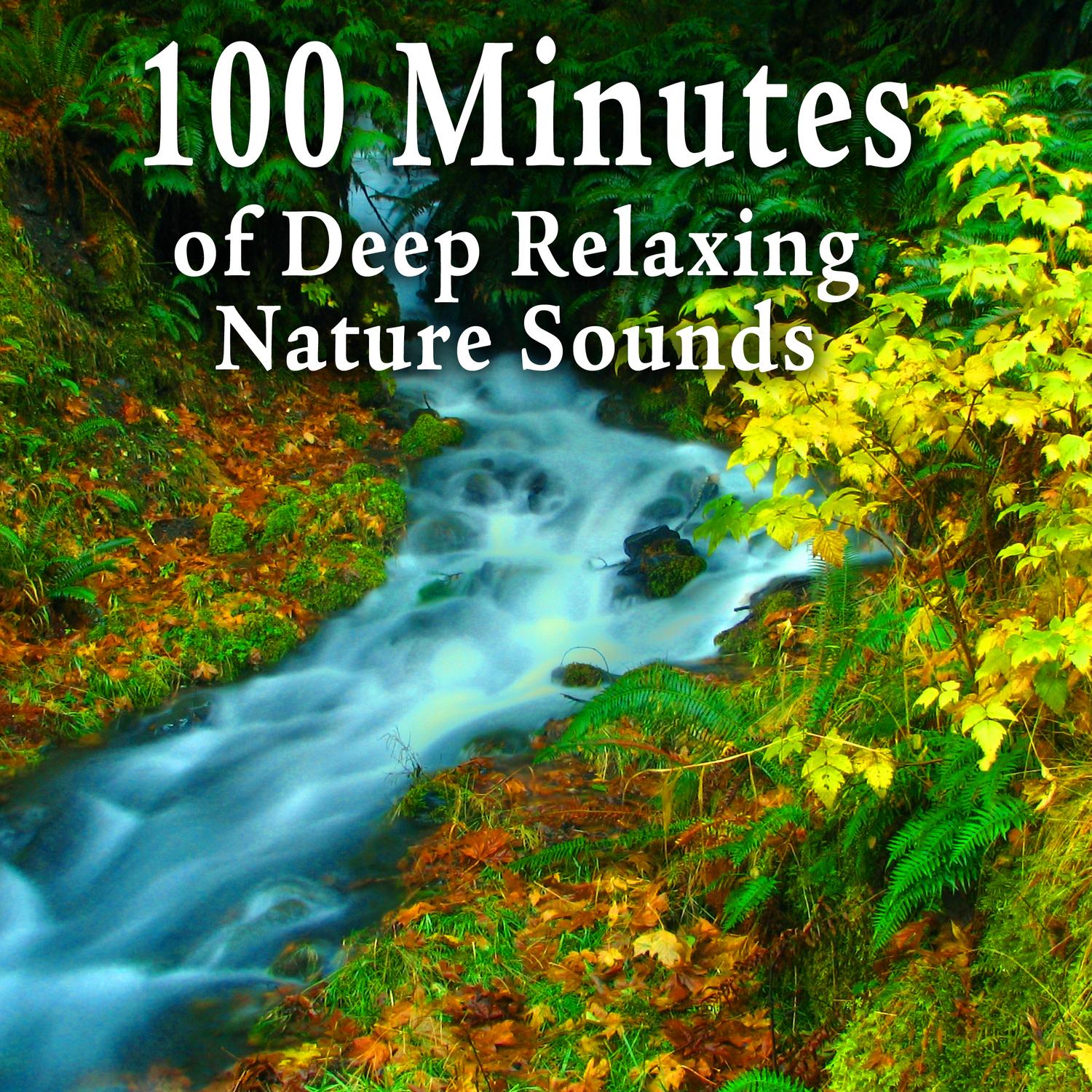100 Minutes of Deep Relaxing Nature Sounds