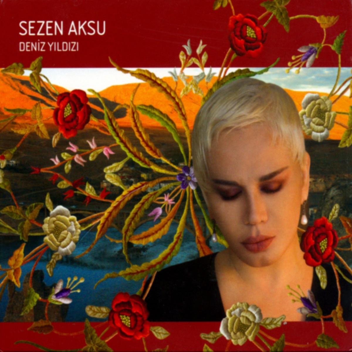 Deniz Yildizi