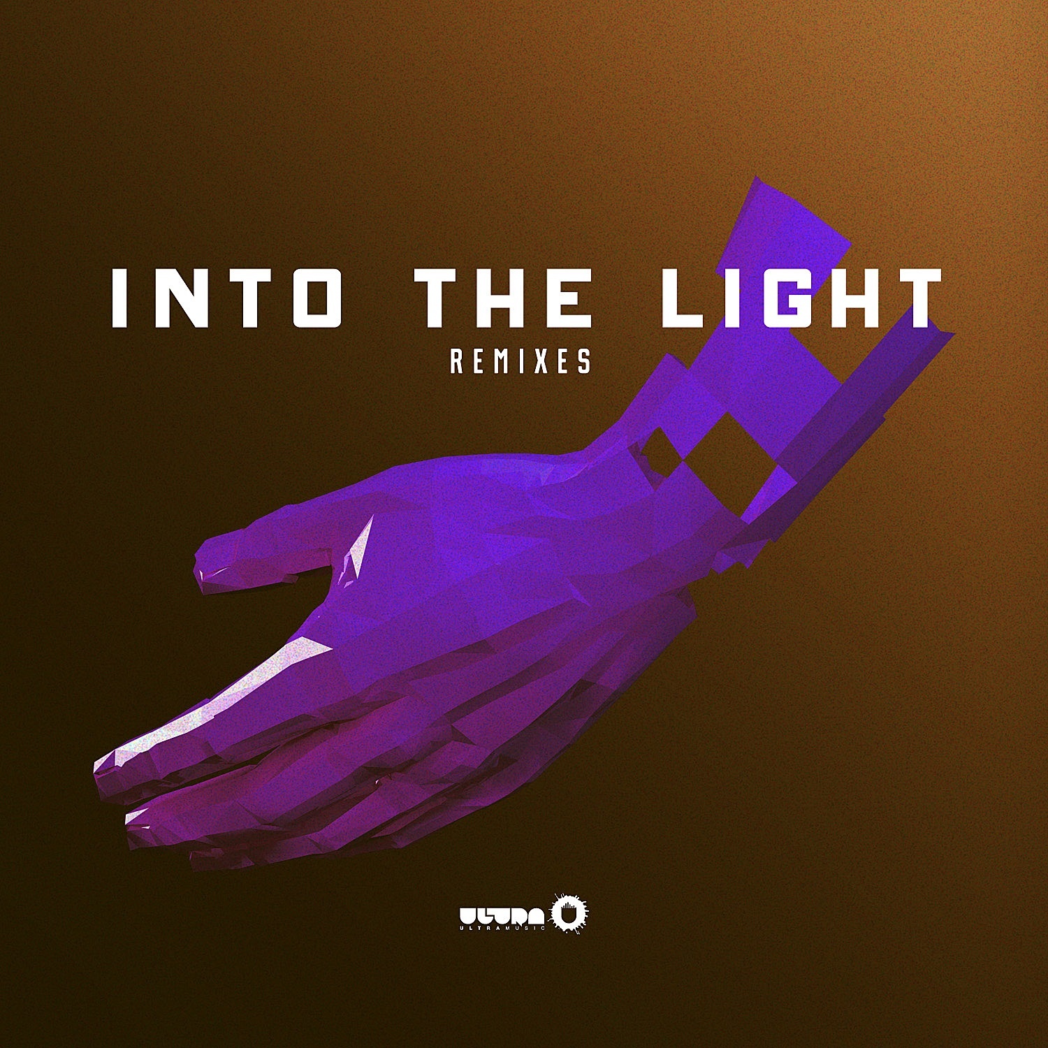 Into the Light (Remixes)