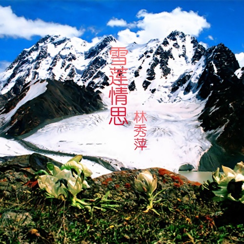 雪莲情思