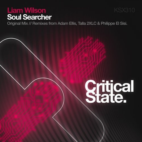 Soul Searcher (Adam Ellis 'Got No Soul' Remix)