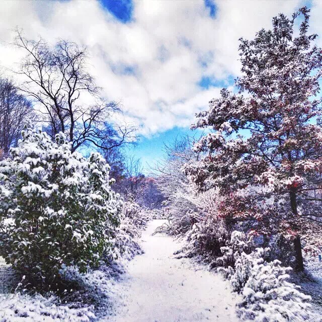 雪国