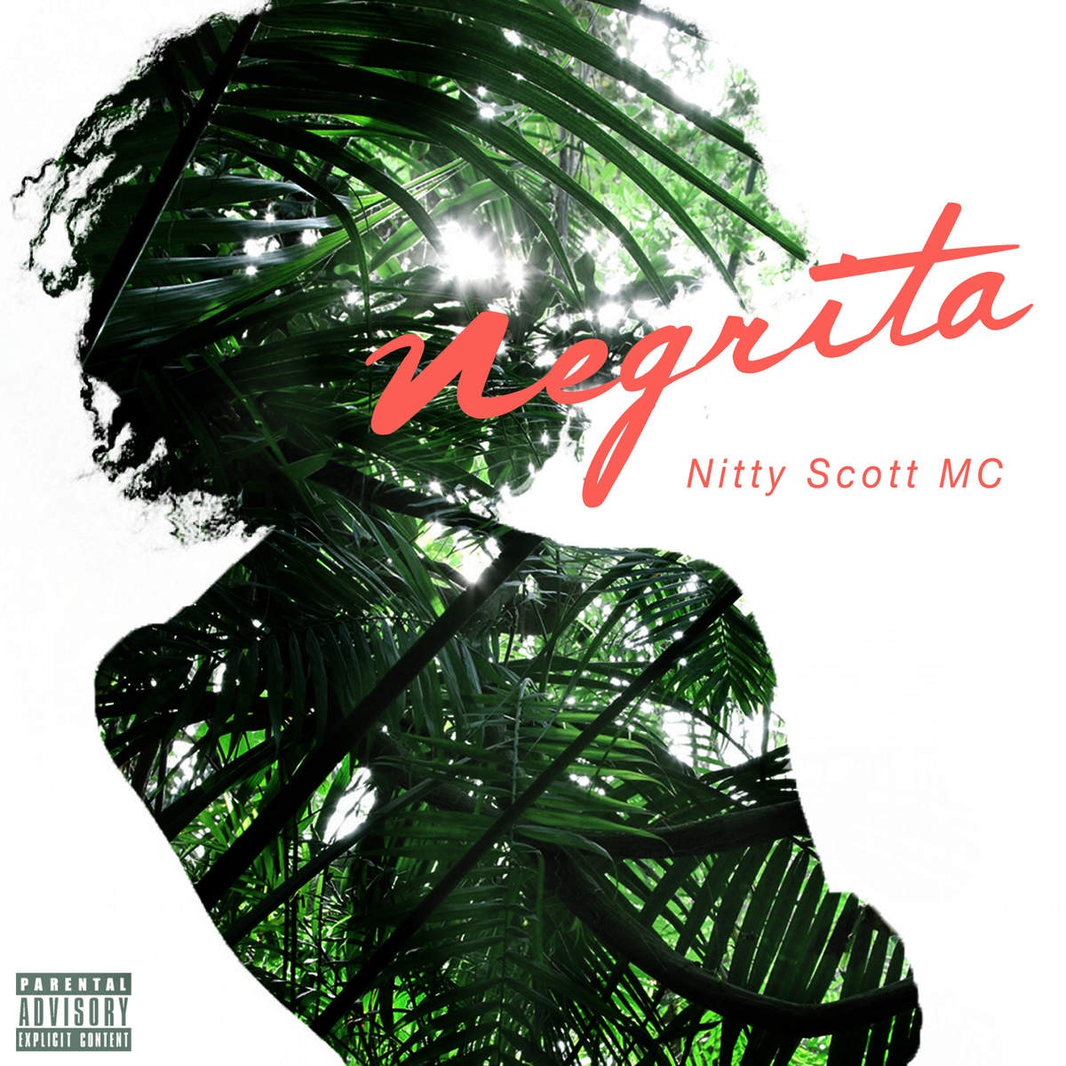 Negrita - Single