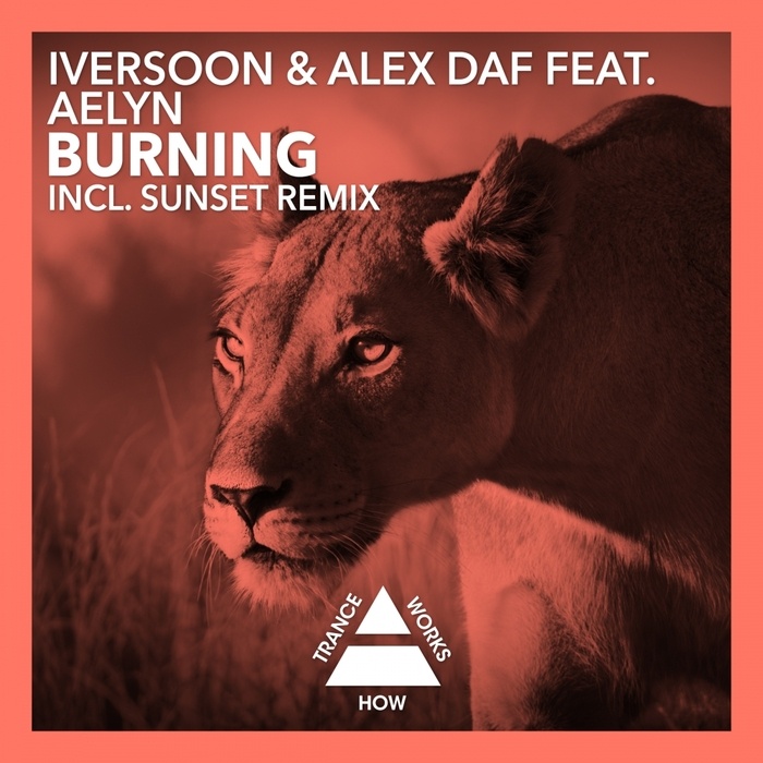 Burning (Original Mix)