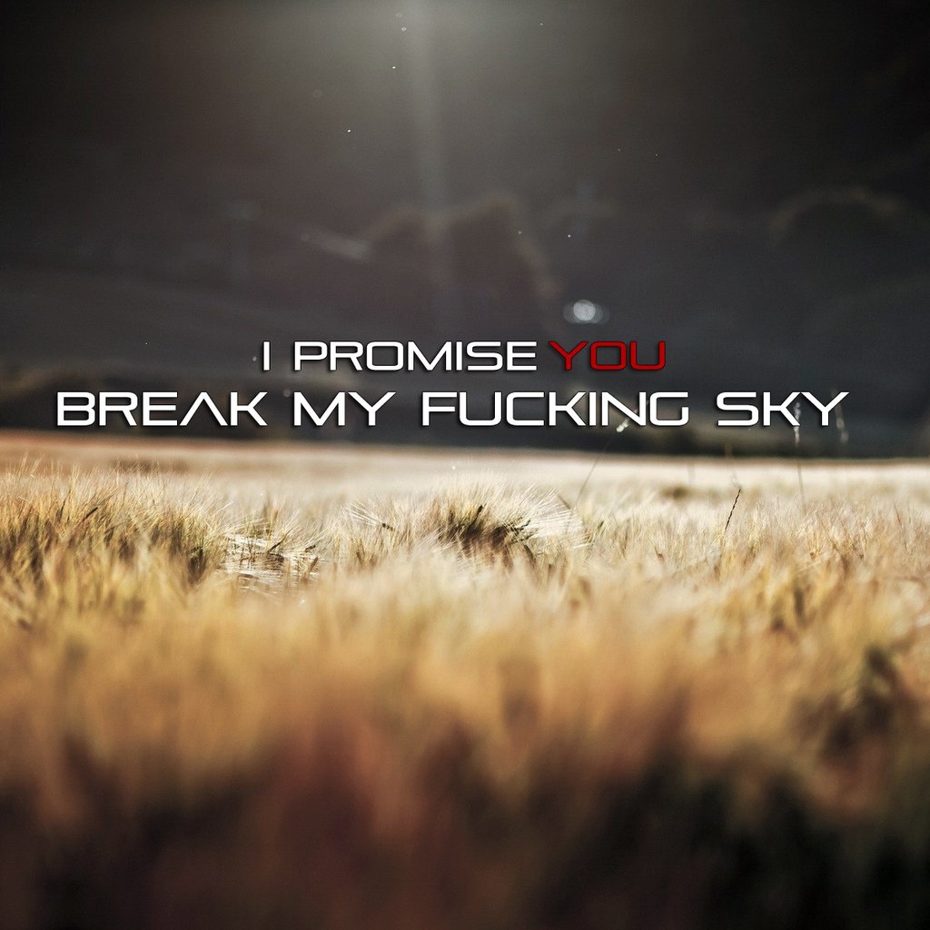 i promise you