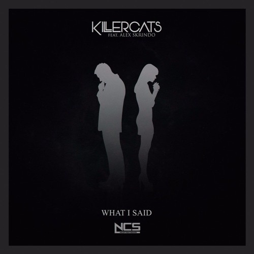 What I Said (feat.Alex Skrindo)