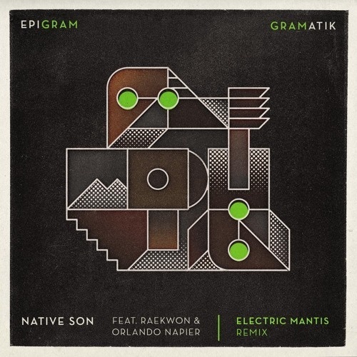 Native Son (Electric Mantis Remix)