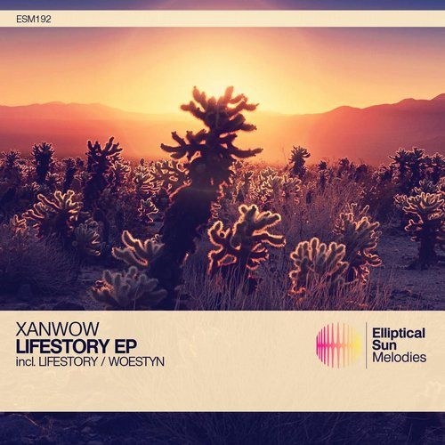 Lifestory (Original Mix)