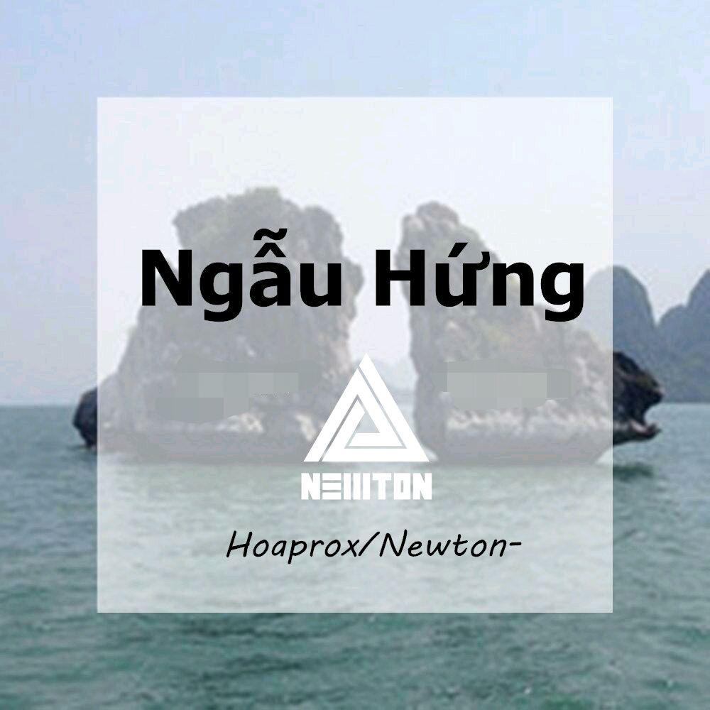 Ngẫu Hứng（Newton- Bootleg）