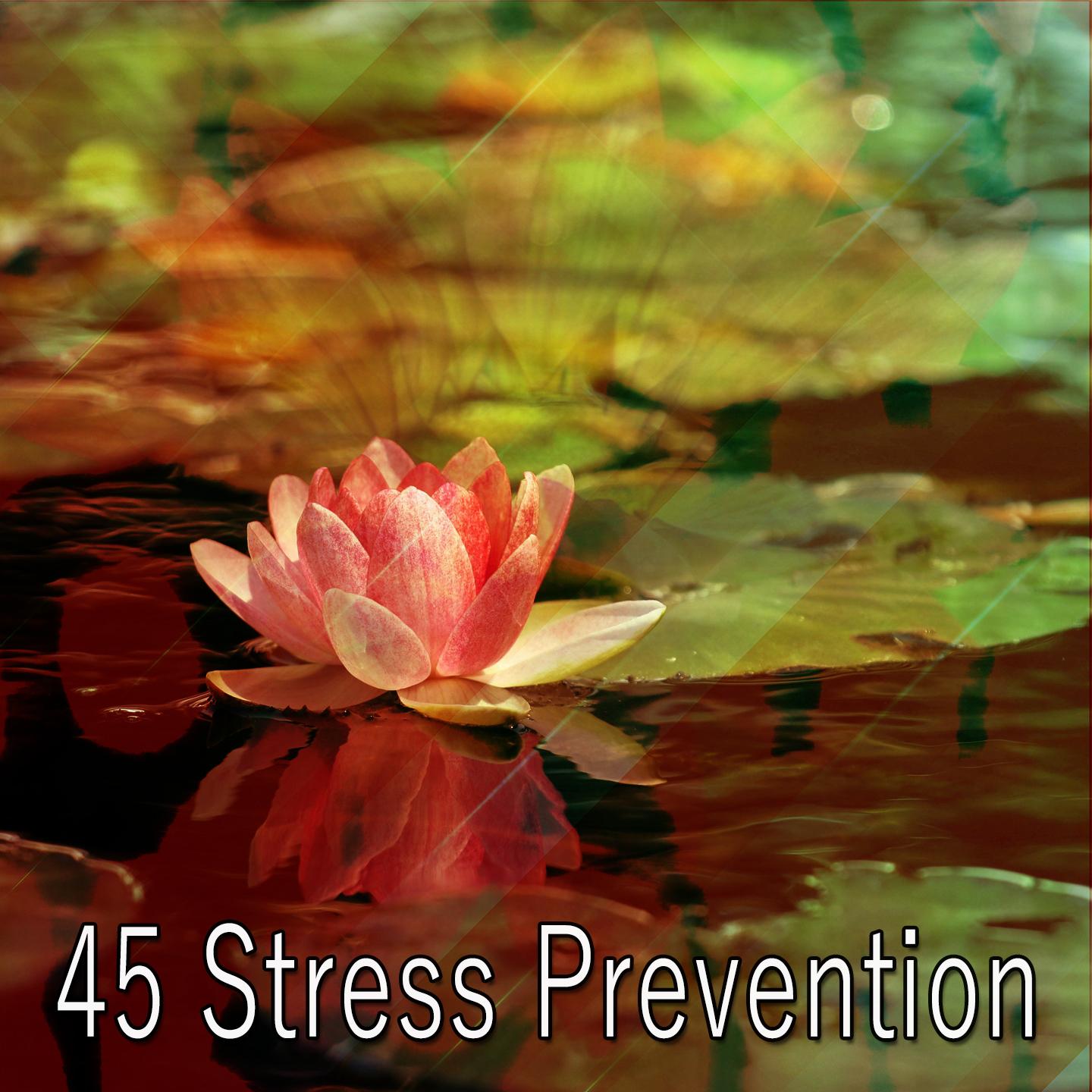 45 Stress Prevention