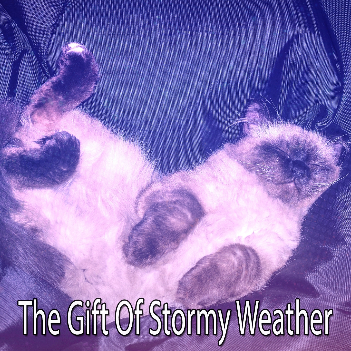 The Gift Of Stormy Weather