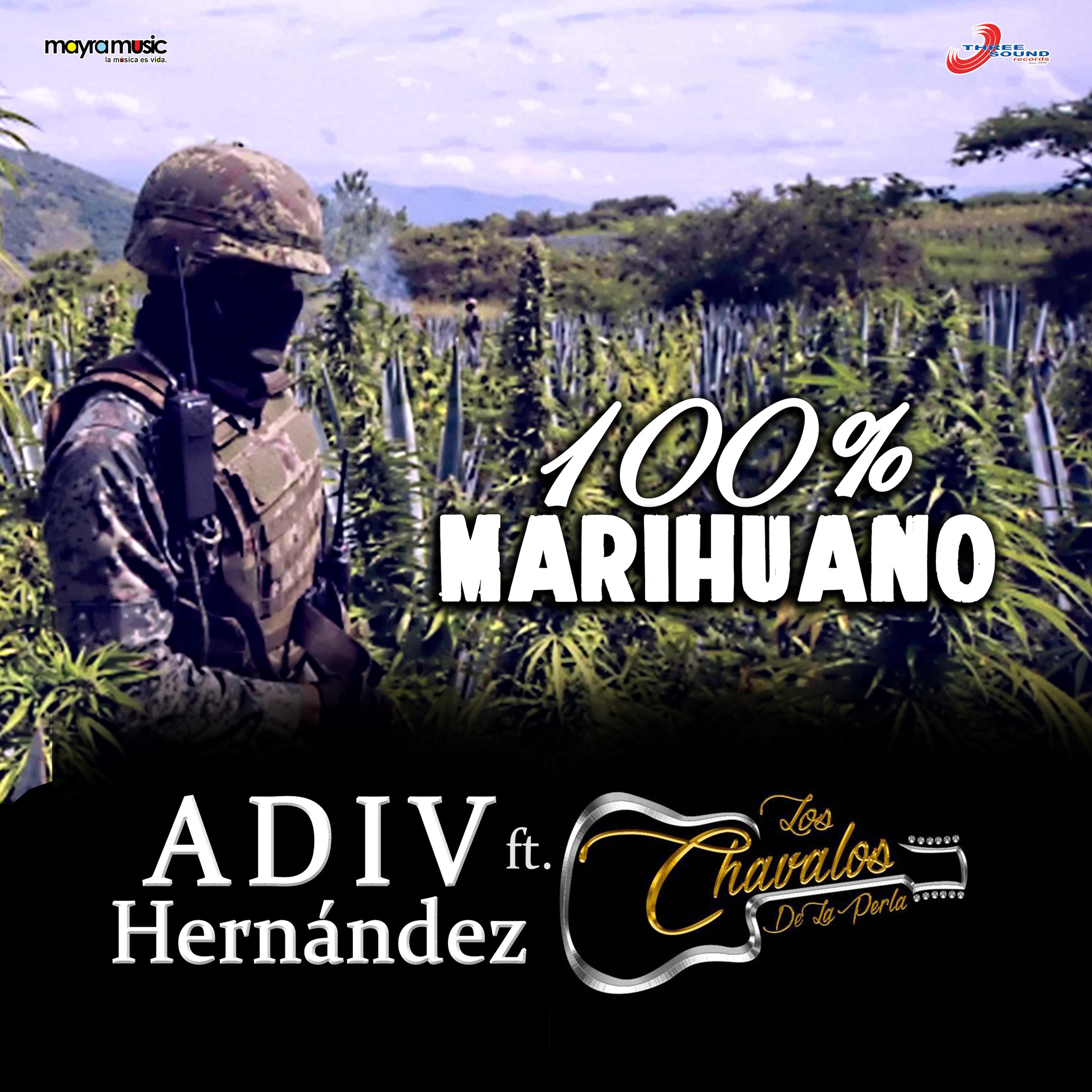 100% Marihuano