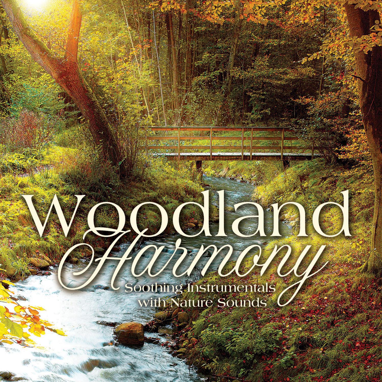 Woodland Harmony