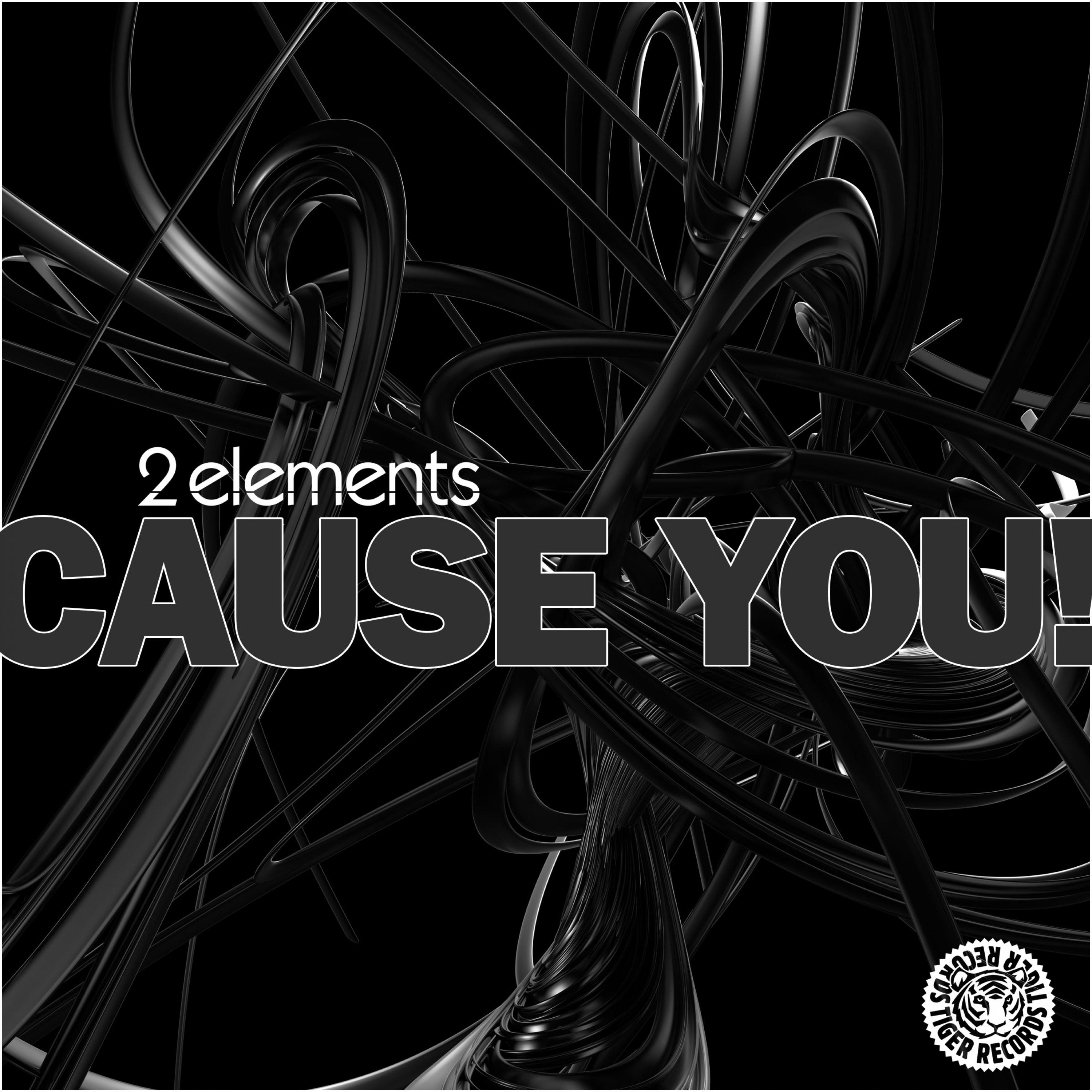 Cause You! (EDM Mix)