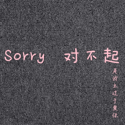 Sorry 对不起 (伴奏)