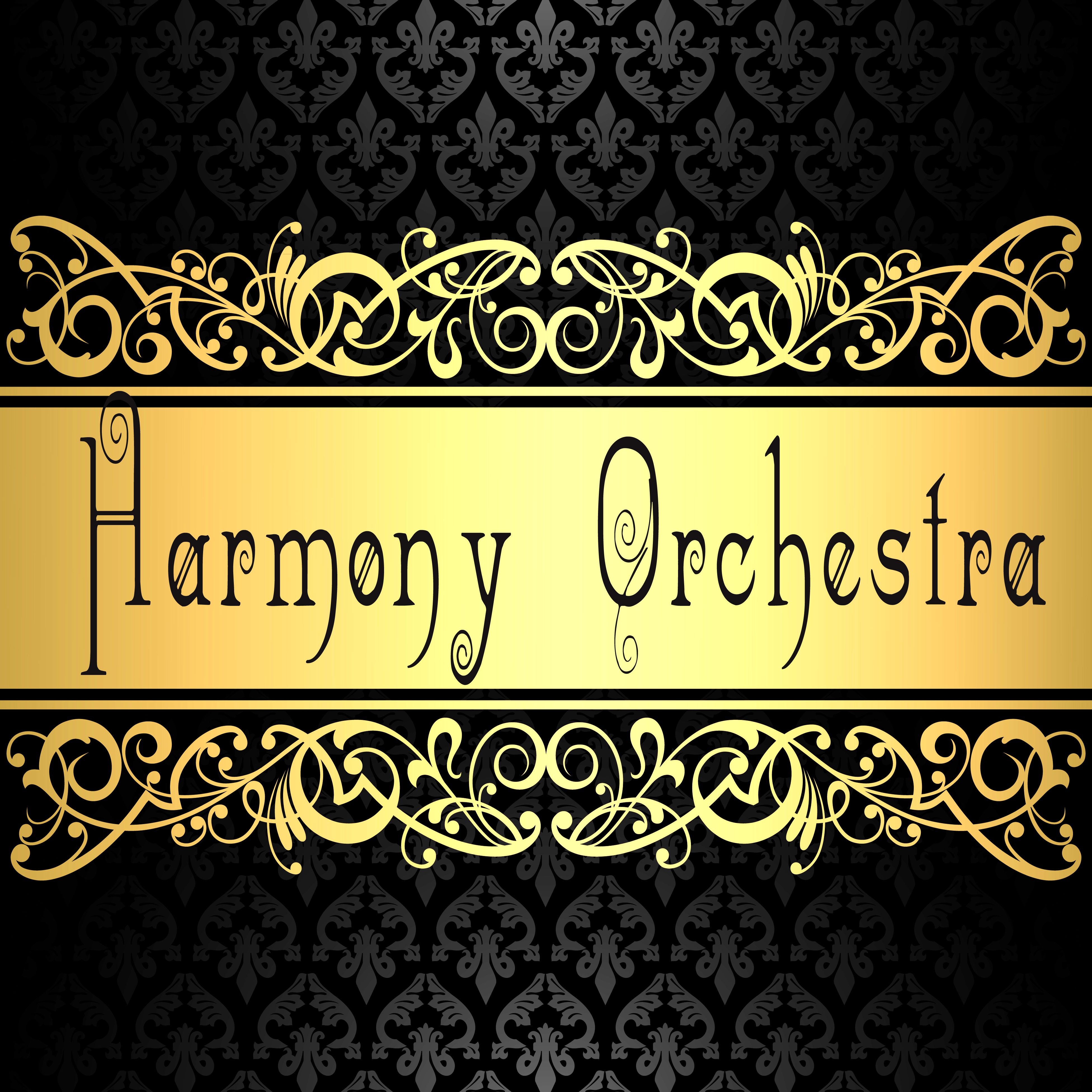 Harmony Orchestra