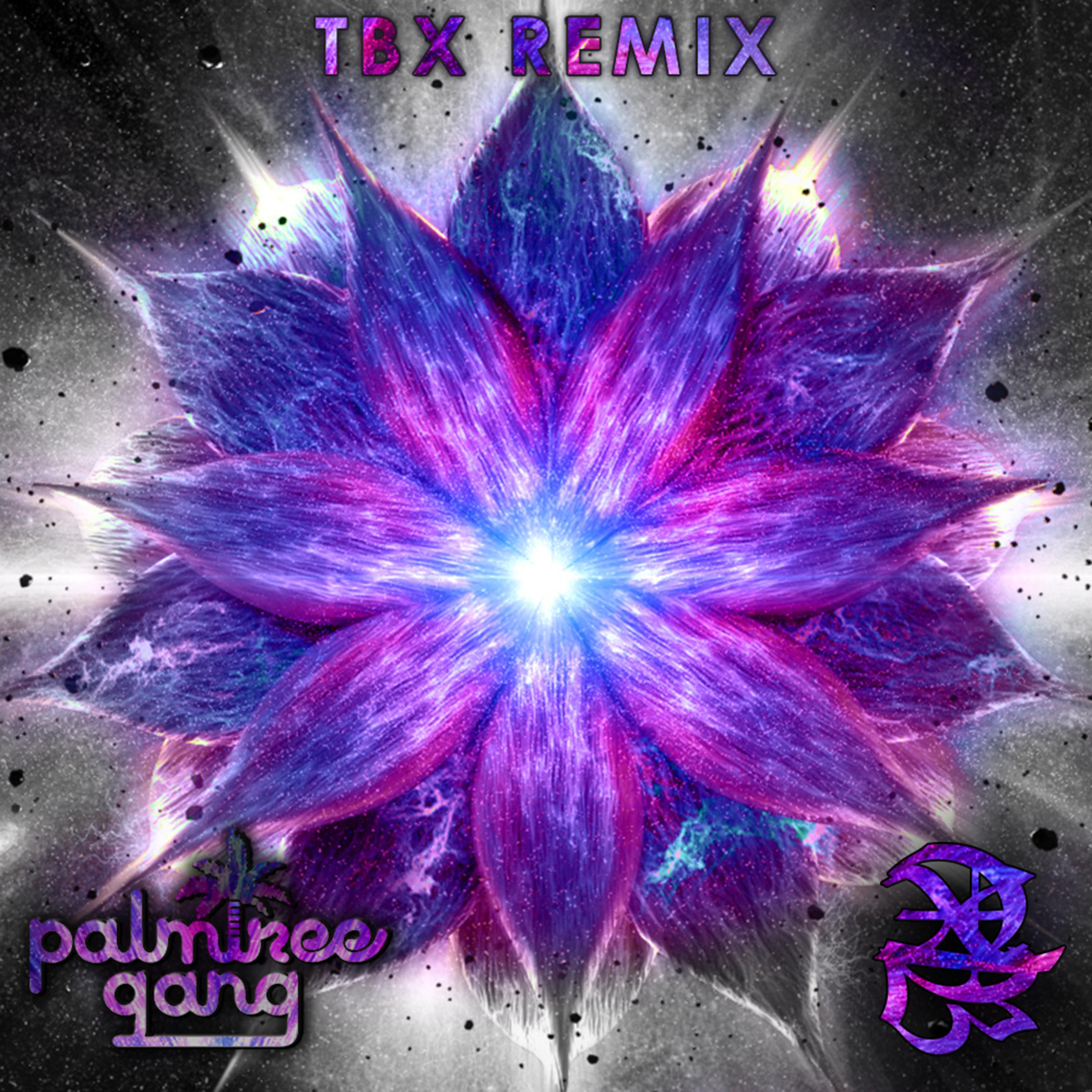 Moonflower (TBX Remix)