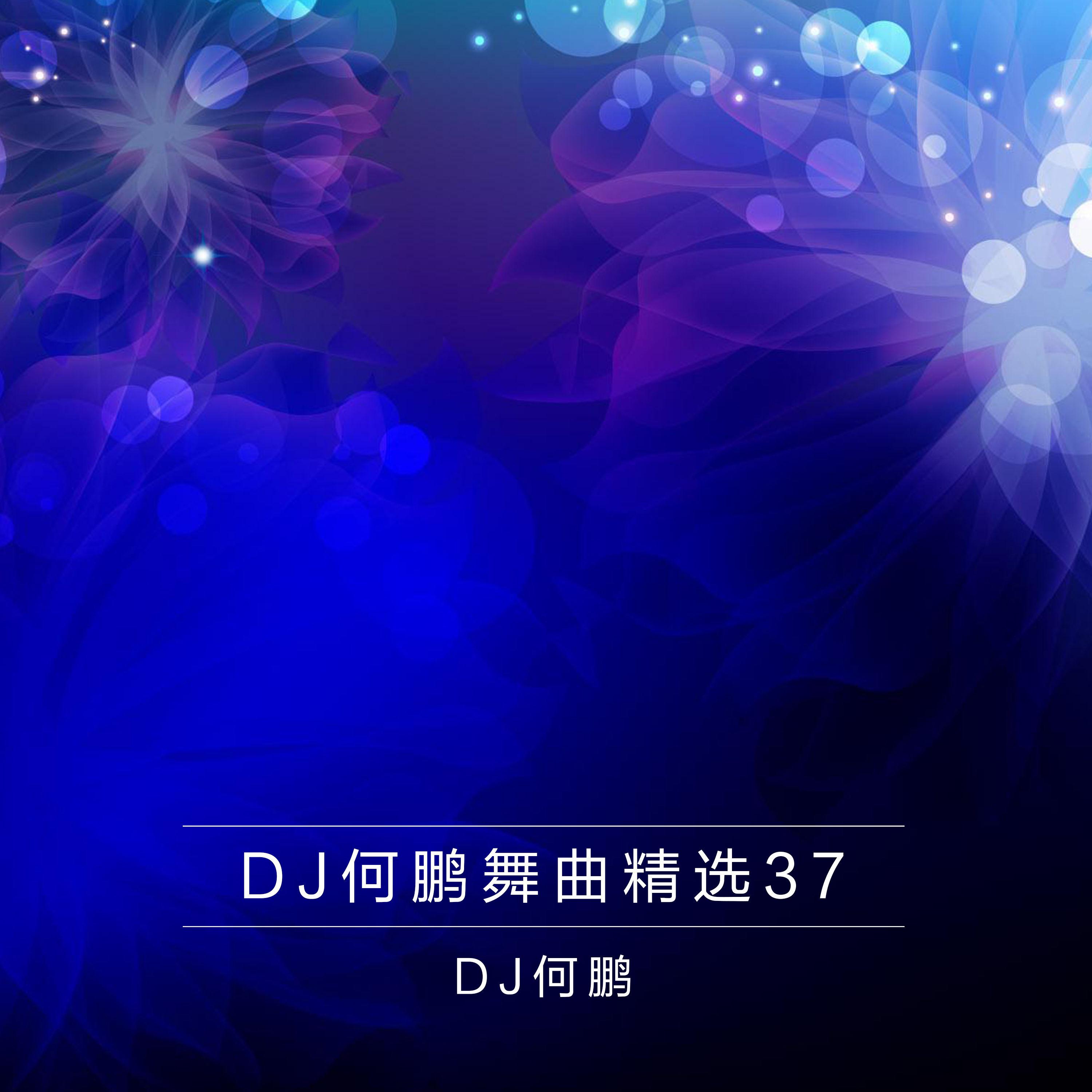 DJ何鹏舞曲精选集37