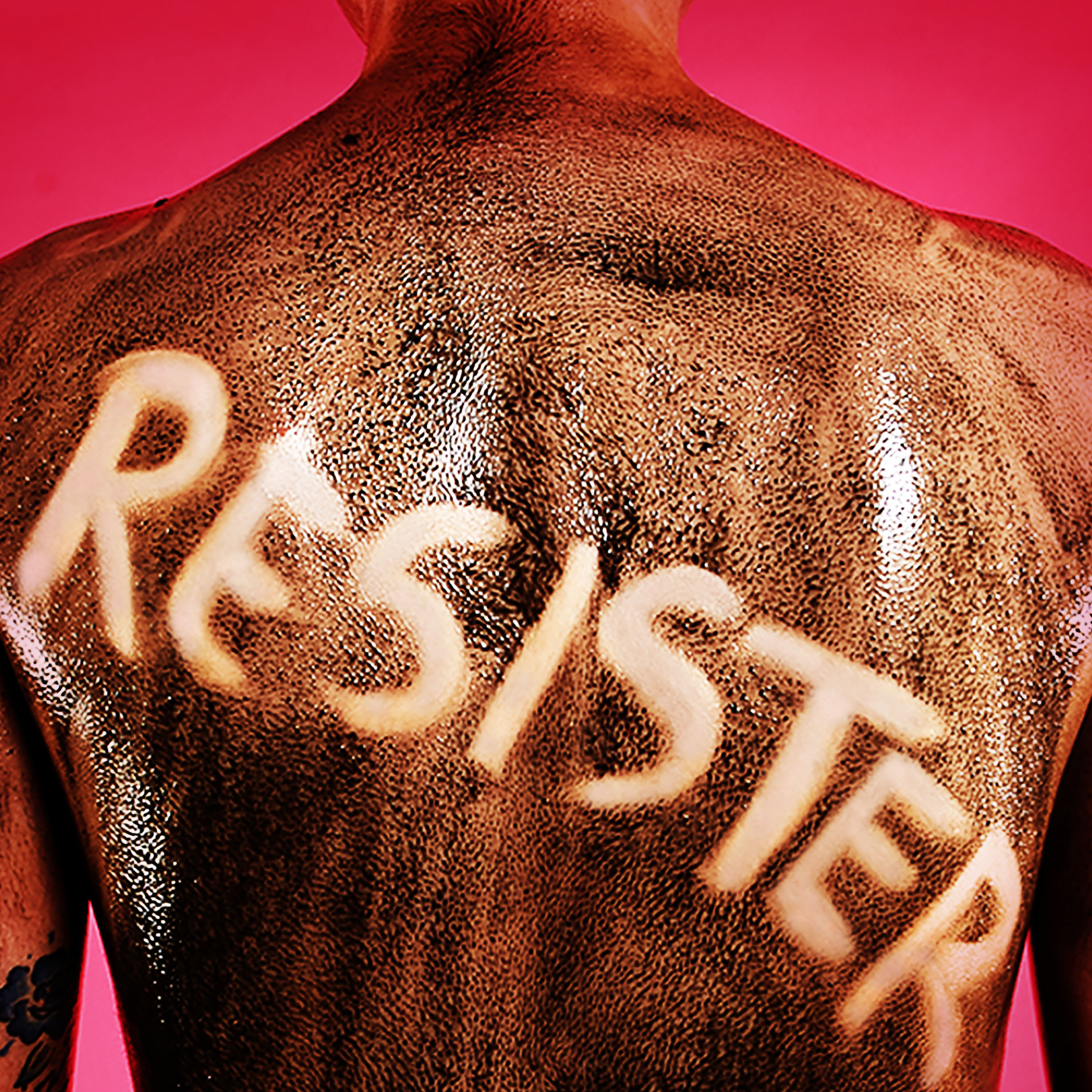 Resister