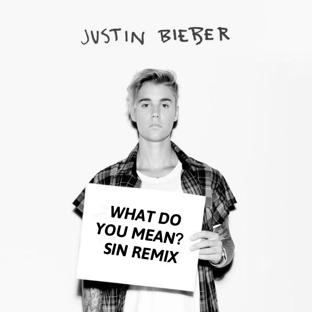 What do you mean(SIN remix)