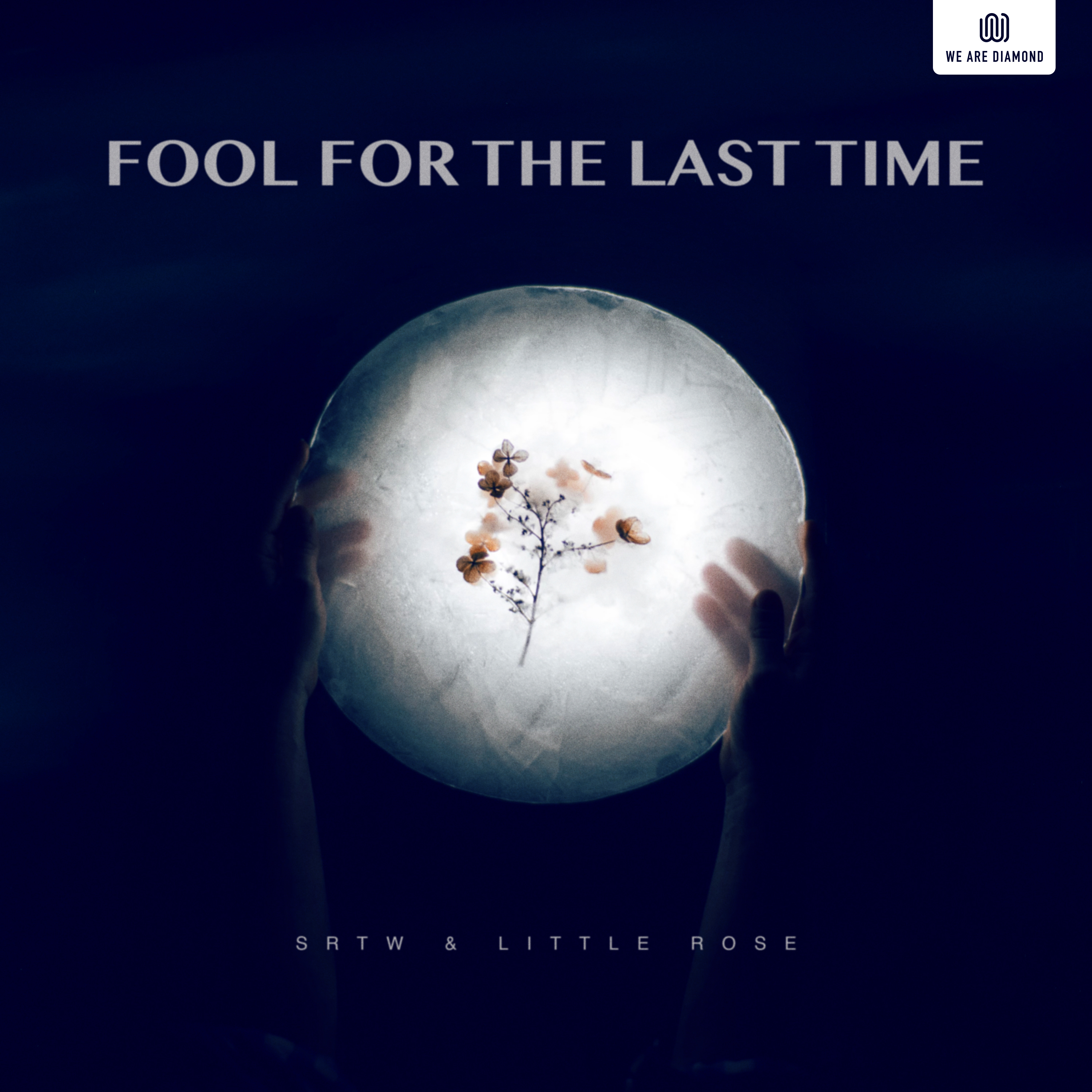 Fool for the Last Time