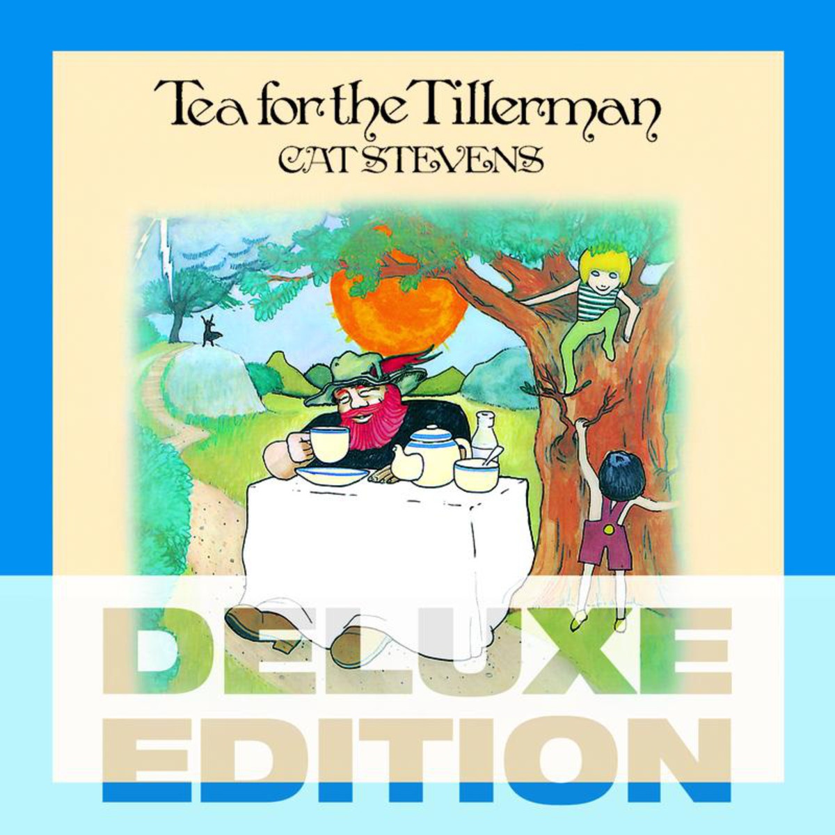 Tea For The Tillerman (Live At The Bbc)